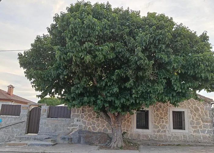 Casa La Morera, Semesterbostad Ávila